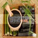 정수 생활 건강 티스토리