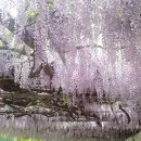 솔비디오 이미지