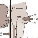 신라한의원 이미지