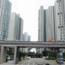 다나은동물약국 이미지