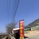 동방농장 | 양산 원동 3월 설향 딸기체험 추천 동방딸기 농장, 가격, 시간, 후기
