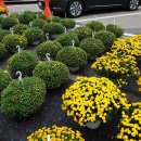 하나로꽃집 이미지