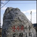 이천산수유마을 이미지