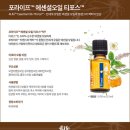 라이프에센셜 이미지