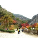 강천산 Daum카페