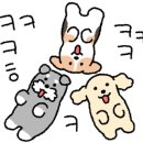요즘 붕어빵 이미지