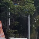 저단49 이미지