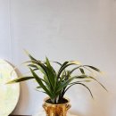 신월동169 이미지