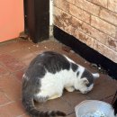 해밀펜션 | 강화도 가족여행 바다뷰 펜션 해밀펜션 스위트히솝 후기