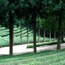 최참판댁내 이미지