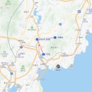 개미집(연산동) | 부산광역시 애견동반여행지 부산 조건별 애견동반 여행지 TOP 5 선택