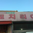 꼬치리아 이미지