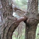 덕의봉약수터 이미지