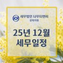 세무법인나무티앤씨 - 서초구 강남대로 221 | 세무법인나무티앤씨