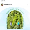 재미농장 이미지