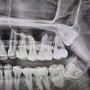 사랑이아프니구강악안면외과치과의원 이미지