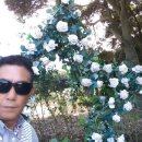 (주)행복한여행 이미지