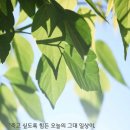 (유)처음으로 이미지