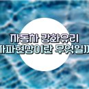 강화자동차