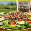 파라다이슨 이미지