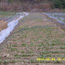 우리들 농장 이미지