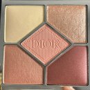 럭셔리뷰티 중앙점 | [내돈내산] 디올 5꿀뢰르 743로즈튤 봄메이크업 ! 봄웜/여쿨 한달 사용 솔직후기