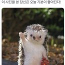카페타임 이미지