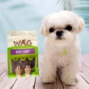 앤디스펫컴퍼니 이미지