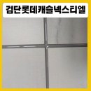 수정캐슬주상복합 | ♥️검단롯데캐슬넥스티엘 줄눈시공/입주청소/탄성코트 가격정보 업체후기