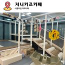 프라이빗 시흥 | 시흥 능곡에서 프라이빗하게 놀자 지니키즈 시흥무인키즈카페 후기