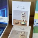 마즐리스책방 이미지