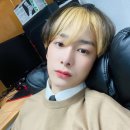 헬로하이