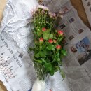 만땅농장 이미지