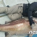 서남120