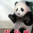 블리 이미지