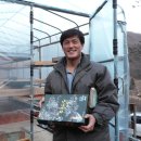 먼당농장 이미지