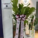 정진검도관 이미지