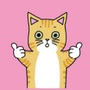 포일배드민턴장 | 로쉬 호캉스 :) 숙암스위트킹 + 로쉬카페 / 정선레일바이크 / 자쿠지 / 알차게 놀고 온 힐링여행 후기~!