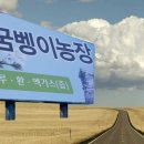 외동농원 이미지