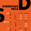 동서울대골프연습장 | 성남 인도어 | 동서울골프연습장 인도어 야간 골프 후기