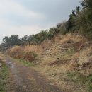 서호동-34 이미지