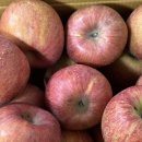 대산청과 이미지