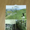 돌나라 코스메틱 편백수 천연탈취제 사용후기🌳