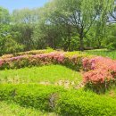 창포원 이미지