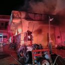 불로카센타 이미지