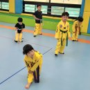 장하로 | 장하태권도 장곡동 태권도 도장 체험 후기