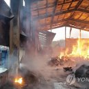 톱밥제조공장 이미지