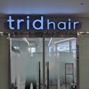 트리드헤어 | 세종나성동 여자커트 잘하는 트리드헤어 인영실장님 레이어드컷