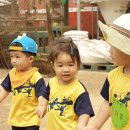 영우목장 이미지