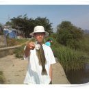 청도천6 이미지